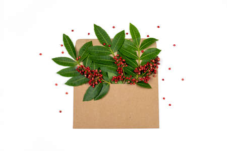 Envelope with mexican pepper tree leaves on white