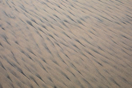 Natural pattern of the beach sandの写真素材