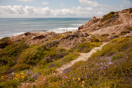 California coastal landscapeの写真素材