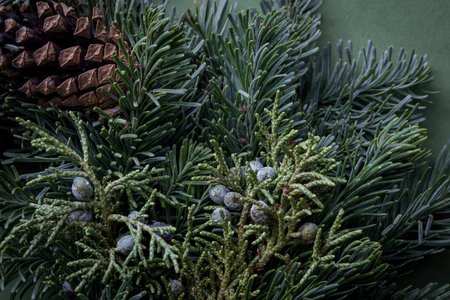 Fragment of Christmas wreath
