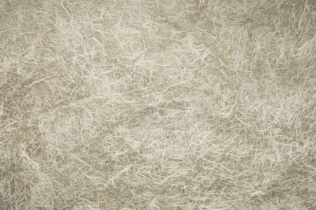Plant fiber paperの写真素材