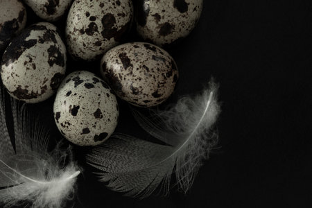 Quail eggs and feathers on black