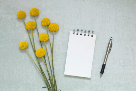 Notepad with a pen and yellow flowersの写真素材