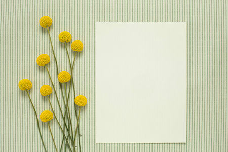 Bunch of Billybuttons with white pageの写真素材