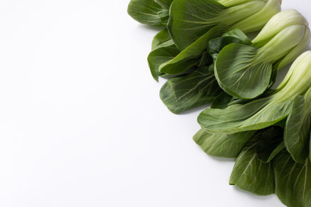 Bok choy greens on white backgroundの写真素材