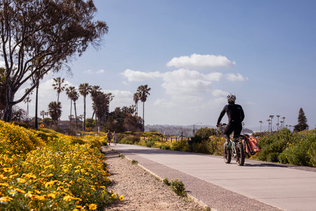 Spring bloom in Cardiff-by-the-sea, San Diego, California, April 19, 2023
