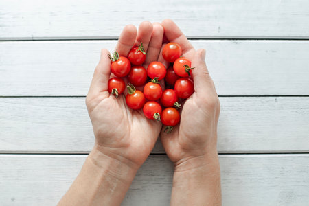 Hands holding cherry tomatoesの写真素材