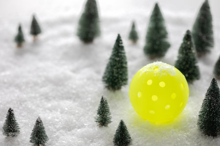 Picklebal in the snow with mini pine treesの写真素材