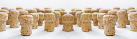 Used corks plugs from different champagne  producing on white backgroundの写真素材