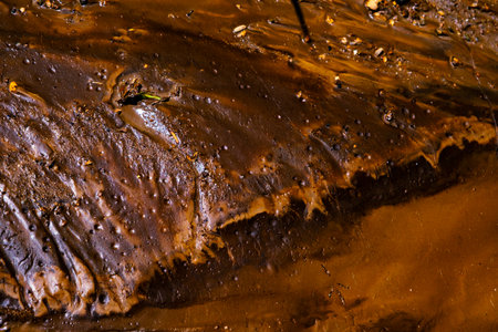 colored mud river, close viewの写真素材