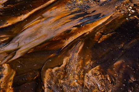 colored mud river, close viewの写真素材