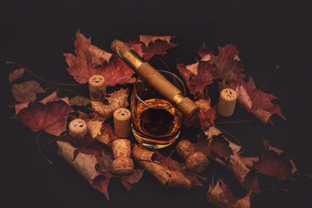 Quality cigars with cognac, cork plugs amd red silk leaves on black backgroundの写真素材