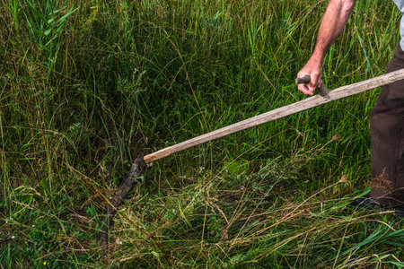 a man mows the grass with a scytheの写真素材