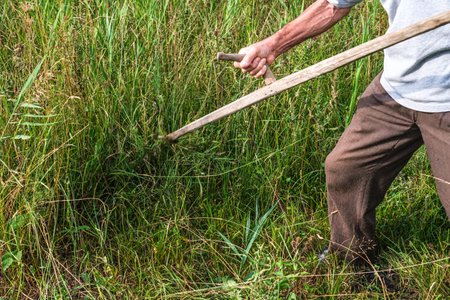 a man mows the grass with a scythe