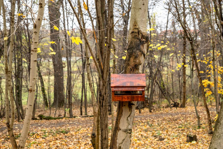 A wooden birdhouse, built with your own hands and painted with colored paint, hangs attached to a...