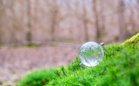Globe Glass In Green Forestの写真素材
