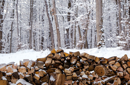 A wood stack covered with snow in the forest in winterの写真素材