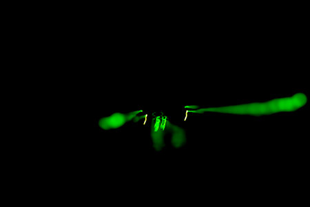 abstract green number motion blur