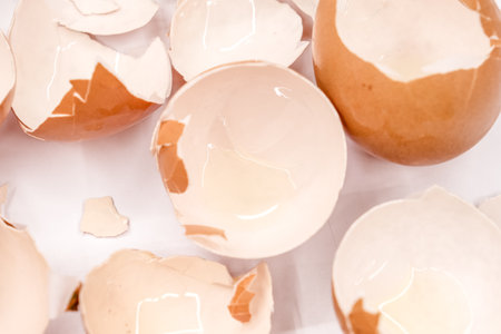 broken empty eggshells on white backgroundの写真素材