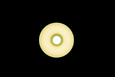 Electric lamp with led bulb on black background