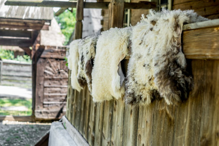 dry-skinned sheepskins at the country houseの写真素材