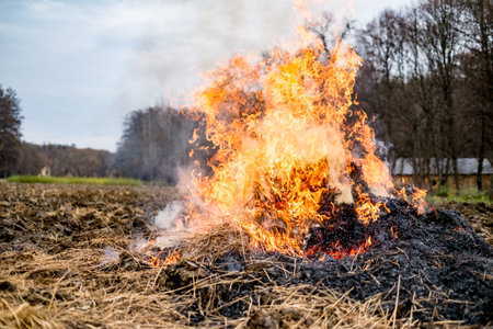 Fire burns straw field after harvestの写真素材