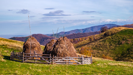 Mountains in the fall season with haystacks, Paltinis area, Sibiu county, Romania