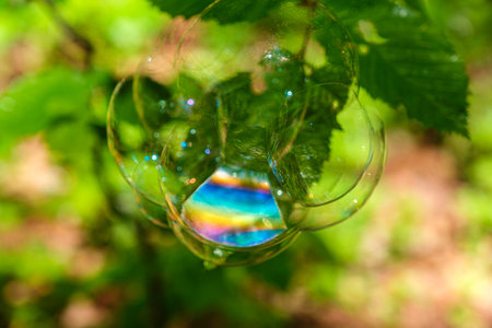 soap bubbles on the leaves