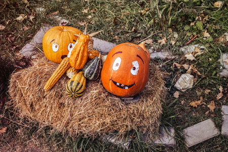 various pumpkins on the hayの写真素材