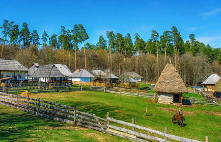 traditional Romanian village with old houses and animalsの写真素材