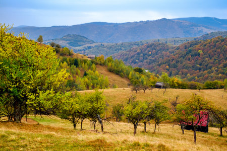 Colorful autumn landscape in the Romanian Carpathians, Fantanele village, Sibiu county, Cindrel mountains, 1100m, Romaniaの写真素材