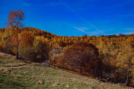beautiful autumn landscapes in the Romanian mountains, Fantanele village area, Sibiu county, Cindrel...