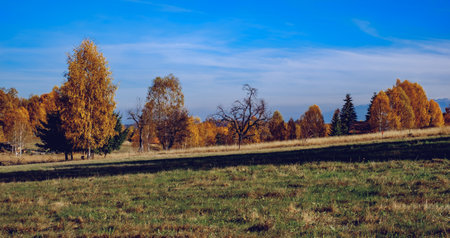 beautiful autumn landscapes in the Romanian mountains, Fantanele village area, Sibiu county, Cindrel mountains, Romaniaの写真素材