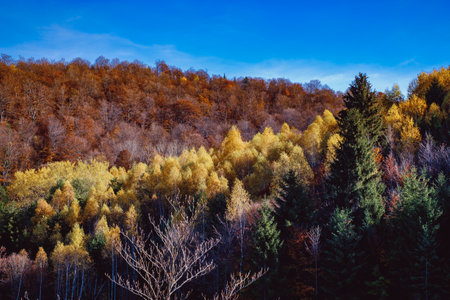 beautiful autumn landscapes in the Romanian mountains, Fantanele village area, Sibiu county, Cindrel mountains, Romaniaの写真素材