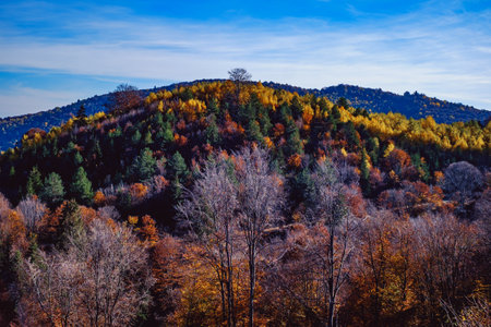 beautiful autumn landscapes in the Romanian mountains, Fantanele village area, Sibiu county, Cindrel mountains, Romaniaの写真素材