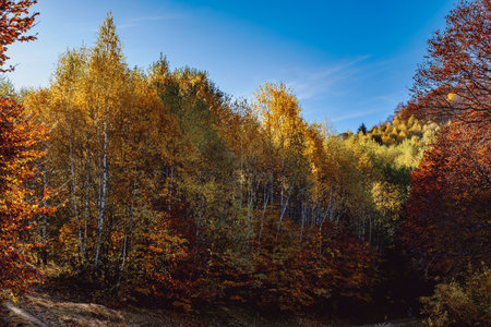 beautiful autumn landscapes in the Romanian mountains, Fantanele village area, Sibiu county, Cindrel mountains, Romaniaの写真素材