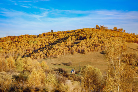 beautiful autumn landscapes in the Romanian mountains, Fantanele village area, Sibiu county, Cindrel mountains, Romaniaの写真素材