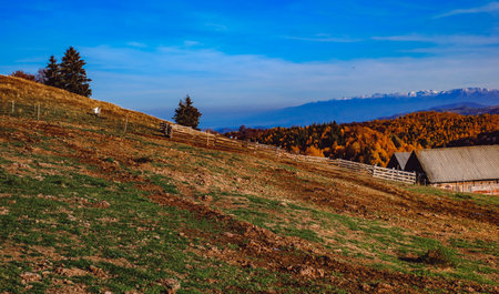 beautiful autumn landscapes in the Romanian mountains, Fantanele village area, Sibiu county, Cindrel...