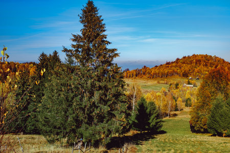 beautiful autumn landscapes in the Romanian mountains, Fantanele village area, Sibiu county, Cindrel mountains, Romaniaの写真素材