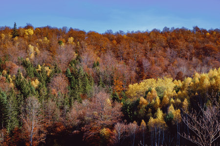 beautiful autumn landscapes in the Romanian mountains, Fantanele village area, Sibiu county, Cindrel mountains, Romaniaの写真素材