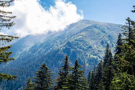 Beautiful view from Fagaras Romanian mountains, Suru peak.の写真素材