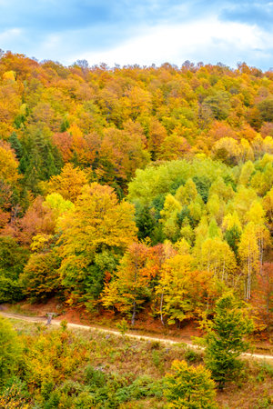 Colorful autumn landscape in the Romanian Carpathians, Fantanele village, Sibiu county, Cindrel mountains, 1100m, Romaniaの写真素材