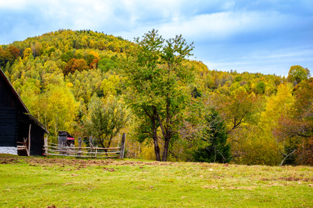 Colorful autumn landscape in the Romanian Carpathians, Fantanele village, Sibiu county, Cindrel...