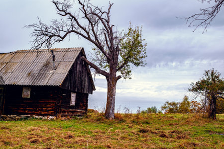 Colorful autumn landscape in the Romanian Carpathians, Fantanele village, Sibiu county, Cindrel mountains, 1100m, Romaniaの写真素材