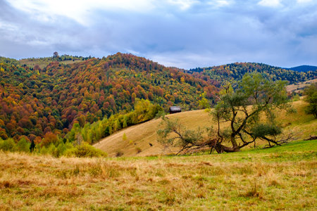 Colorful autumn landscape in the Romanian Carpathians, Fantanele village, Sibiu county, Cindrel mountains, 1100m, Romaniaの写真素材