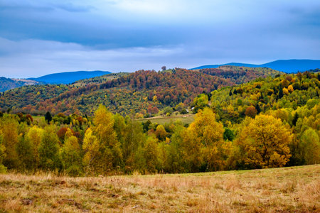 Colorful autumn landscape in the Romanian Carpathians, Fantanele village, Sibiu county, Cindrel mountains, 1100m, Romaniaの写真素材