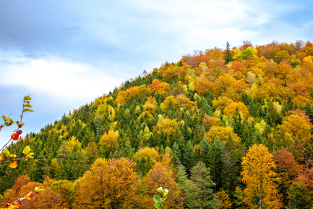 Colorful autumn landscape in the Romanian Carpathians, Fantanele village, Sibiu county, Cindrel mountains, 1100m, Romaniaの写真素材