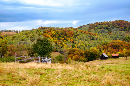 Colorful autumn landscape in the Romanian Carpathians, Fantanele village, Sibiu county, Cindrel mountains, 1100m, Romaniaの写真素材