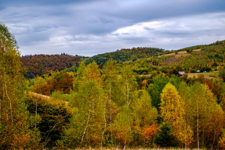 Colorful autumn landscape in the Romanian Carpathians, Fantanele village, Sibiu county, Cindrel mountains, 1100m, Romaniaの写真素材