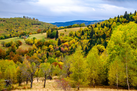 Colorful autumn landscape in the Romanian Carpathians, Fantanele village, Sibiu county, Cindrel mountains, 1100m, Romaniaの写真素材